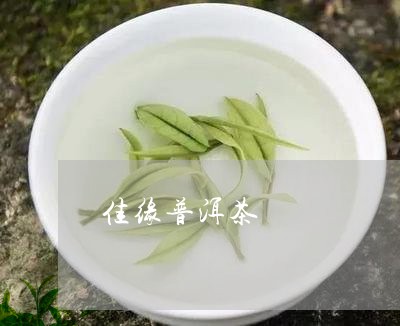 佳缘普洱茶/2023102566483