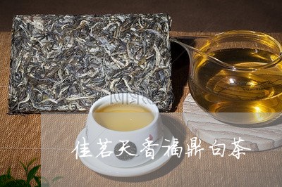 佳茗天香福鼎白茶/2023090538381