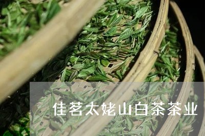 佳茗太姥山白茶茶业/2023121742716