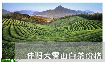 佳阳大雾山白茶价格/2023071506471