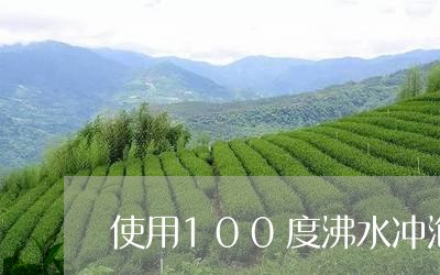 使用100度沸水冲泡的茶叶有/2023053192948