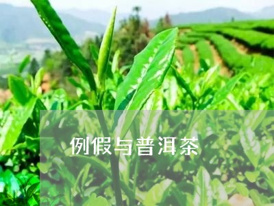 例假与普洱茶/2023042708141