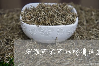 例假可不可以喝普洱茶/2023092625150