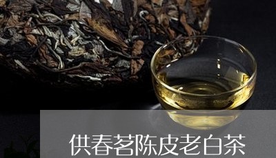 供春茗陈皮老白茶/2023061653835