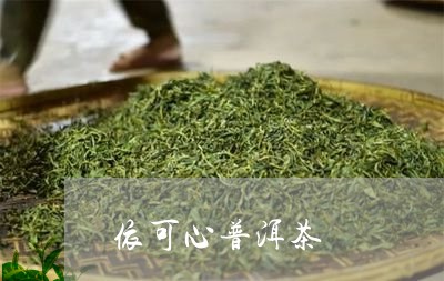 依可心普洱茶/2023091349372