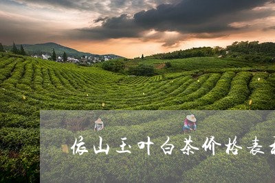 依山玉叶白茶价格表和图片/2023111727461