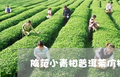 依范小青柑普洱茶价格/2023072381605