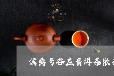 侯爵号谷庄普洱茶散茶/2023062338261