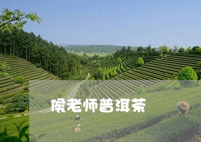 侯老师普洱茶/2023042773016