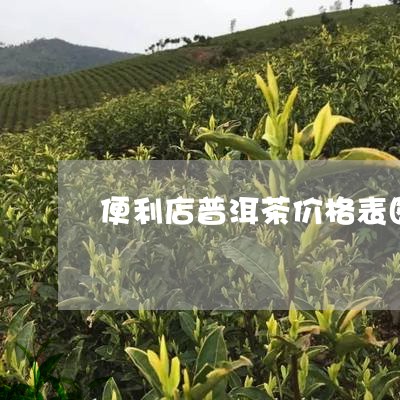 便利店普洱茶价格表图片大全/2023082871582