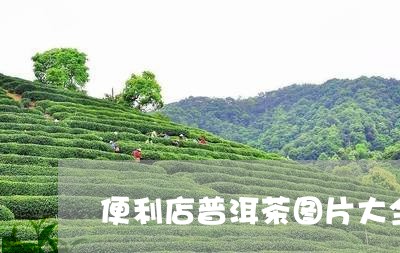 便利店普洱茶图片大全真实/2023082869681