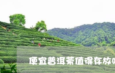 便宜普洱茶值得存放吗/2023080109526