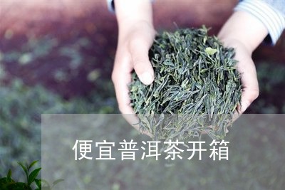 便宜普洱茶开箱/2023120357515