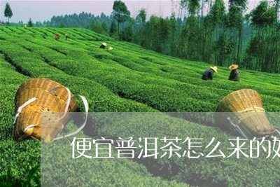 便宜普洱茶怎么来的好看/2023082893847