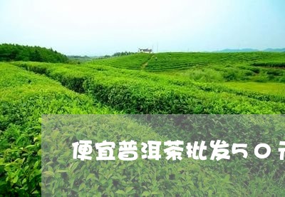 便宜普洱茶批发50元/2023112731482