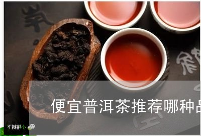 便宜普洱茶推荐哪种品牌/2023082850590