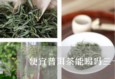 便宜普洱茶能喝吗三十一饼的普洱茶/2023060345040