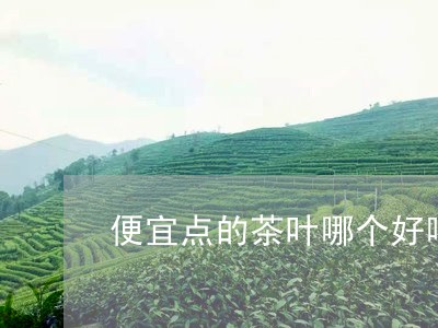 便宜点的茶叶哪个好喝/2023061093715