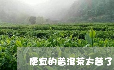 便宜的普洱茶太苦了可以喝吗/2023082890414