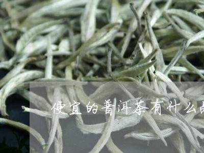 便宜的普洱茶有什么品种/2023122094050