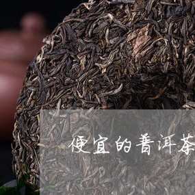 便宜的普洱茶能用吗吗多少钱/2023110534139