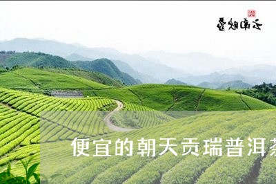 便宜的朝天贡瑞普洱茶/2023093096130