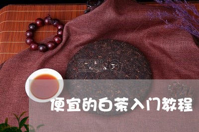 便宜的白茶入门教程/2023121799494