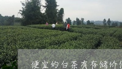 便宜的白茶有存储价值吗推荐/2023111470804