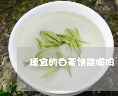 便宜的白茶饼能喝吗/2023071554126