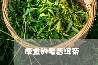 便宜的老普洱茶/2023082665148