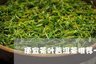 便宜茶叶普洱茶推荐一下/2023082835169