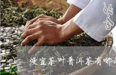 便宜茶叶普洱茶有哪些/2023121360481