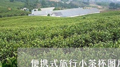 便携式旅行小茶杯图片价格/2023051180603