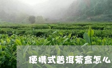 便携式普洱茶盒怎么开盖子/2023082851524