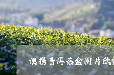 便携普洱茶盒图片欣赏高清/2023112579492