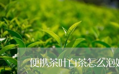 便携茶叶白茶怎么泡好喝/2023111723951