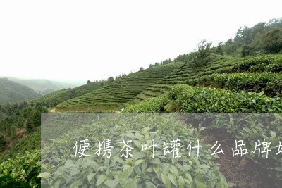 便携茶叶罐什么品牌好/2023092296250