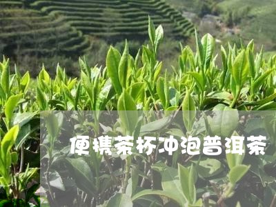 便携茶杯冲泡普洱茶/2023120510737