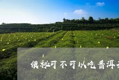 便秘可不可以吃普洱茶/2023092558259