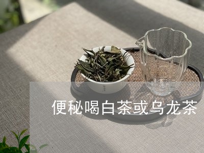 便秘喝白茶或乌龙茶/2023121753016
