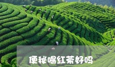 便秘喝红茶好吗/2023042901470