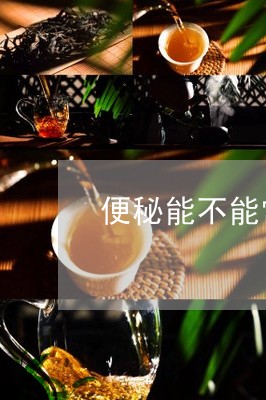 便秘能不能常喝普洱茶/2023120705242