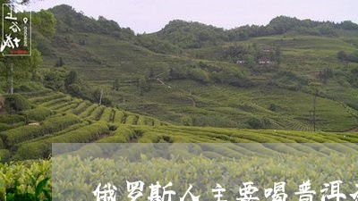 俄罗斯人主要喝普洱茶/2023120671736