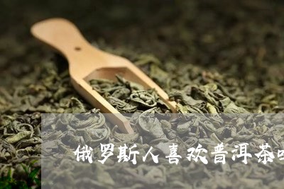 俄罗斯人喜欢普洱茶吗/2023092882606