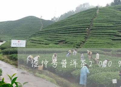 俊仲号普洱茶2009/2023100836480