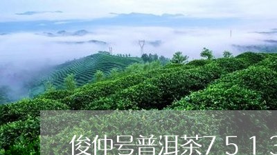 俊仲号普洱茶7513/2023062958393