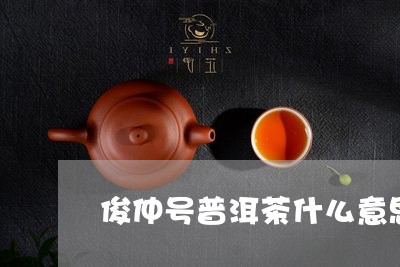 俊仲号普洱茶什么意思/2023061551693