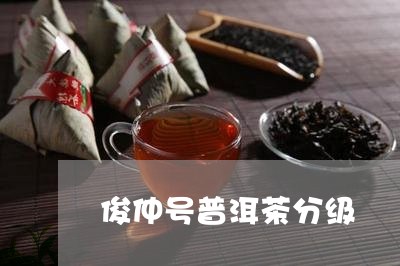 俊仲号普洱茶分级/2023100848481