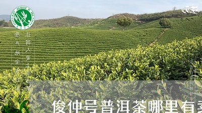 俊仲号普洱茶哪里有卖/2023061506148