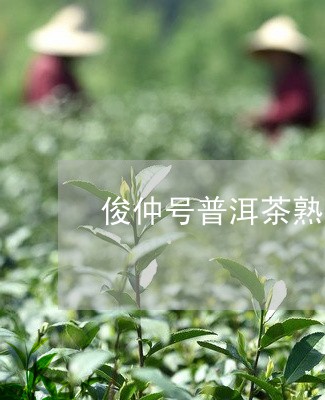 俊仲号普洱茶熟茶价格/2023062316249